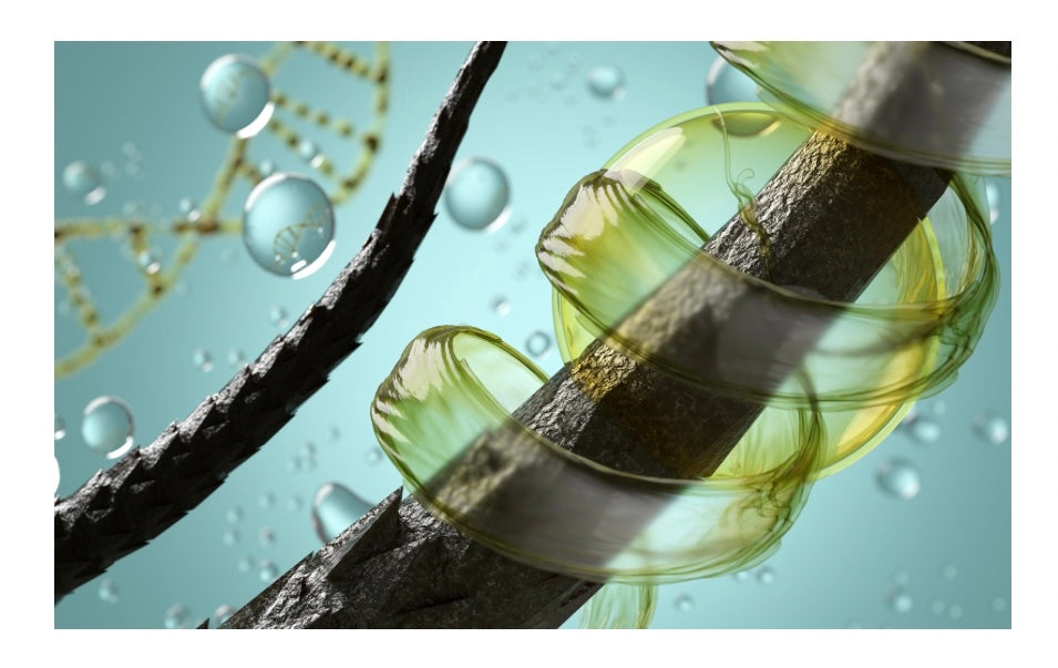New! |SHAMPOO| Moroccan Mint ALL Natural Moisturizing Shampoo