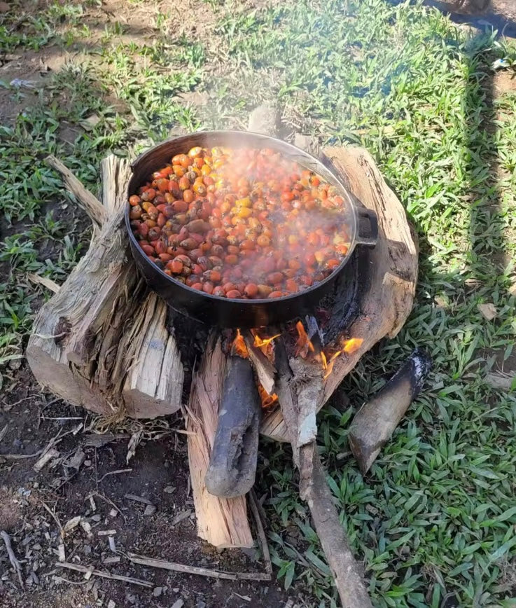 ❗️30% OFF TODAY- DISCOUNT TAKEN IN CART- NO CODE NEEDED❗️ Bare Batana: Honduran imported RAW UNREFINED Batana Oil | 4oz & 6oz