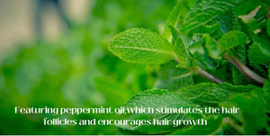 New! |CONDITIONER| All Natural Moroccan-Mint Hair Growth Conditioner