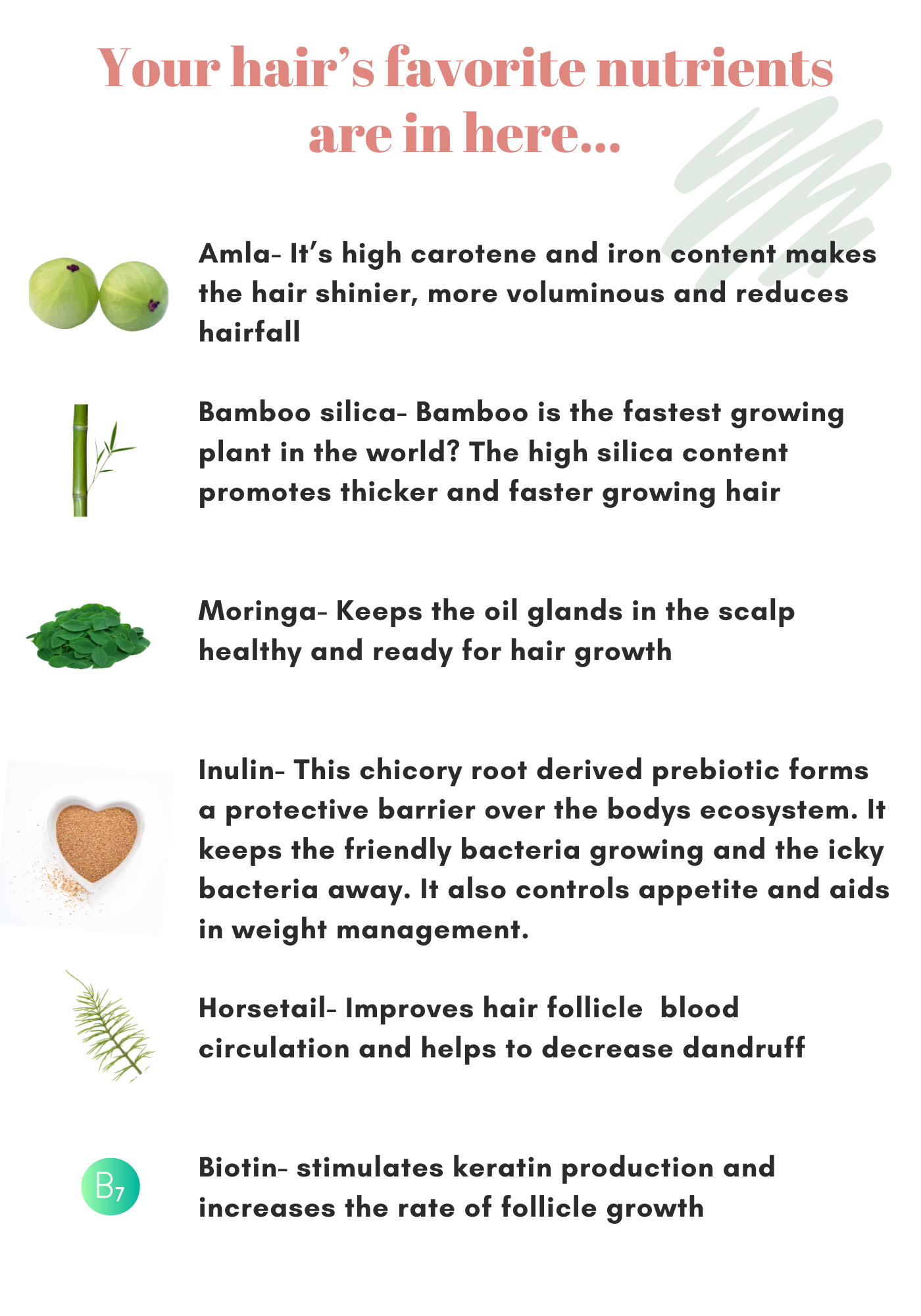 Pouf Potion 🪄Hair Growth + Weightloss Vegan Shake (Reformulating, Repackaging and testing in Progress)
