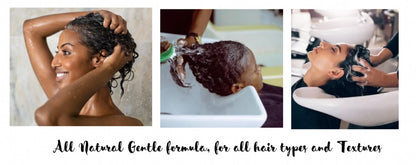 New! |SHAMPOO| Moroccan Mint ALL Natural Moisturizing Shampoo