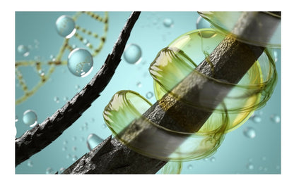 New! |SHAMPOO| Moroccan Mint ALL Natural Moisturizing Shampoo